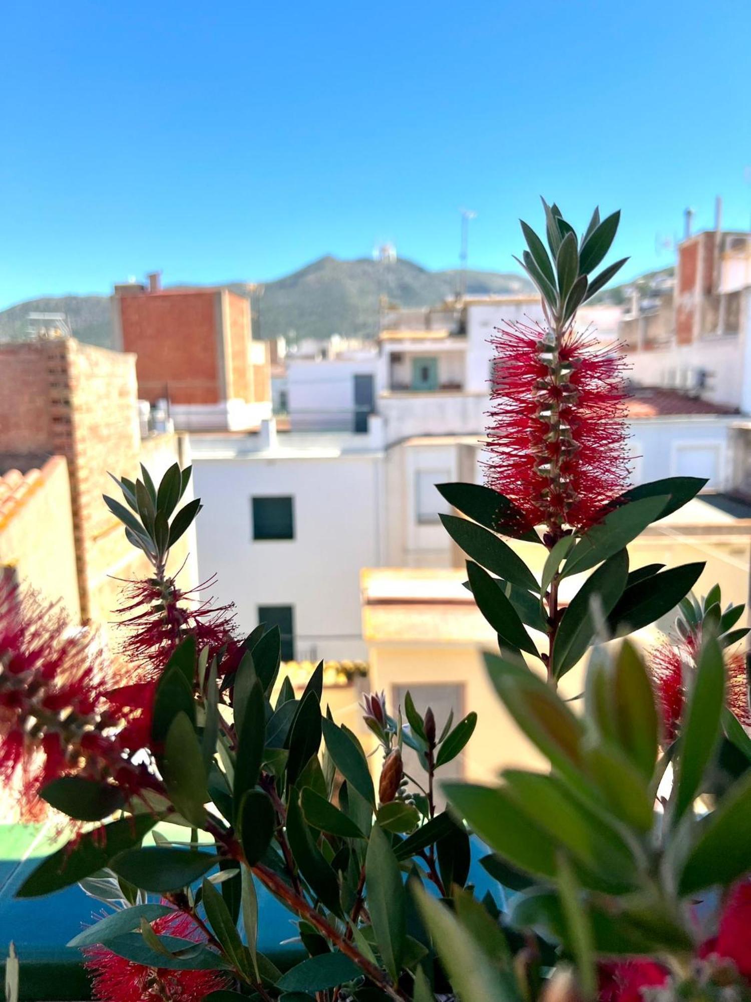 Escondite Central Con Terraza Compartida En La Azotea Roses Extérieur photo